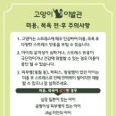 고양이 이발관 이미지