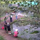 용주농장 이미지