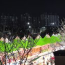 원주 벚꽃축제 태장동 벚꽃축제 야시장 다녀온 후기
