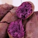 자색고구마 효능 칼로리 먹는법 일반 고구마와 차이점 이미지