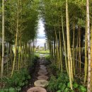 서라2차 | 이번주 어디갈까? 엄마의 원픽 숙소｜서울 근교 충남 서산 서라온 1박 2일 자쿠지 힐링 내돈내산 후기