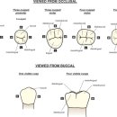 본큐어한의원 이미지