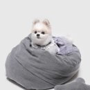 짱구애견 이미지