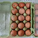 알이랑농장 이미지