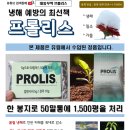 대동무역 이미지