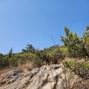 용바위공중화장실 | [충남/홍성] 작은 금강산 용봉산 등산 코스 및 후기-블랙야크 100대 명산 도전 3/100