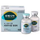 제주동물메디컬센터