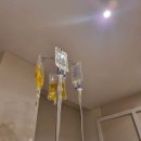 플레이트의원 이미지