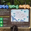 유아숲체험원(제3호) 이미지