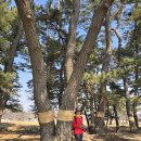 경기둘레길 화성48코스 이미지