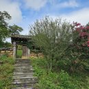 단천리경로당 이미지