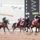 그랑프리 이미지