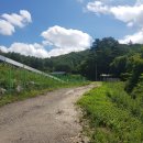 강림면331 이미지