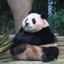 다복향 마라탕 이미지