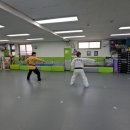 T.S 한국체대 한일태권도장 이미지