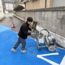 에코라인 이미지