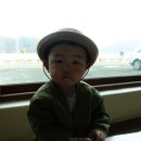 당항포그린횟집 이미지