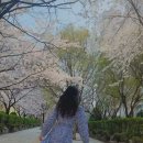 숯고개공원 이미지