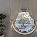 스테이치목 이미지