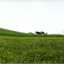 천북목장 이미지