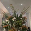 호호중국관 | 서른여덟. 사우디 비행공무원의 11월 비행일기 (ft. 언럭키? 럭키? 리야드페어링/블라바드시티🇸🇦)