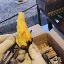 주식회사 원스 이미지