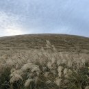 [제주여행] Autumn in Jeju 가을제주