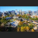 노송동-07(시의회주차장) | 서울 정동전망대에서 바라본 덕수궁 단풍