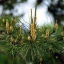 본량동 주민센터 이미지