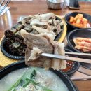 [단양] 단양 소노문 근처 순대맛집 병천토종순대&amp;수육국밥