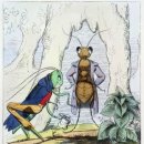 개미와베짱이 이미지