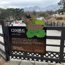 멍티스트 이미지