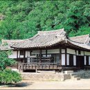대산양은