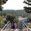 수목원목장 이미지