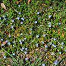 라온기획 | [지구펀딩 블로그 l 라온디어팀] 봄맞이 잠실 한강공원 플로깅 <존중의 봄>