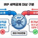 직장인을 위한 아는 만큼 돌려받는 연말정산 | 연말정산 IRP 세액공제 900만 원 꽉 채워서 148만 원 환급받은 후기 (회사 돈 vs 내 돈 차이)