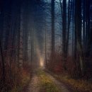 외동마님 이미지