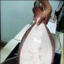 자연산 횟집 이미지