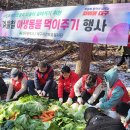 경북야생동물구조관리센터 이미지