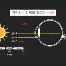 파이안경점 이미지