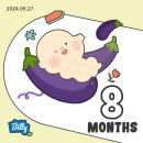 👶🏻 탄이 임신기록 28w ~ 32w