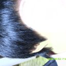 시현광택 이미지