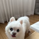 고도일 병원 | 신논현맛집 [부뚜막] 최애 점심식사 장소, 내돈내산 솔직후기