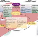 광주주사랑의원 이미지