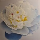 주식회사 에어캡 이미지