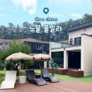 노블풀빌라 | 강원도 춘천가족펜션 가성비 추천 &lt;노블 풀빌라&gt; 내돈내산 숙박