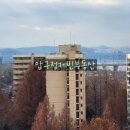 압구정-114 이미지