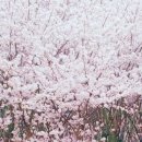 복드림공인중개사사무소 이미지