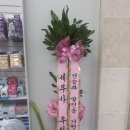 이노약국 이미지