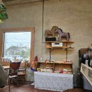 중문색달해수욕장 | 국내여행 제주여행 _ 족은녹고메오름, 중문색달해수욕장 올레길, 하소로커피 후기 _202502